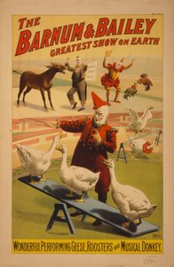 Barnum és Bailey Circus poszter, 1900 körül (kromolitográfia)